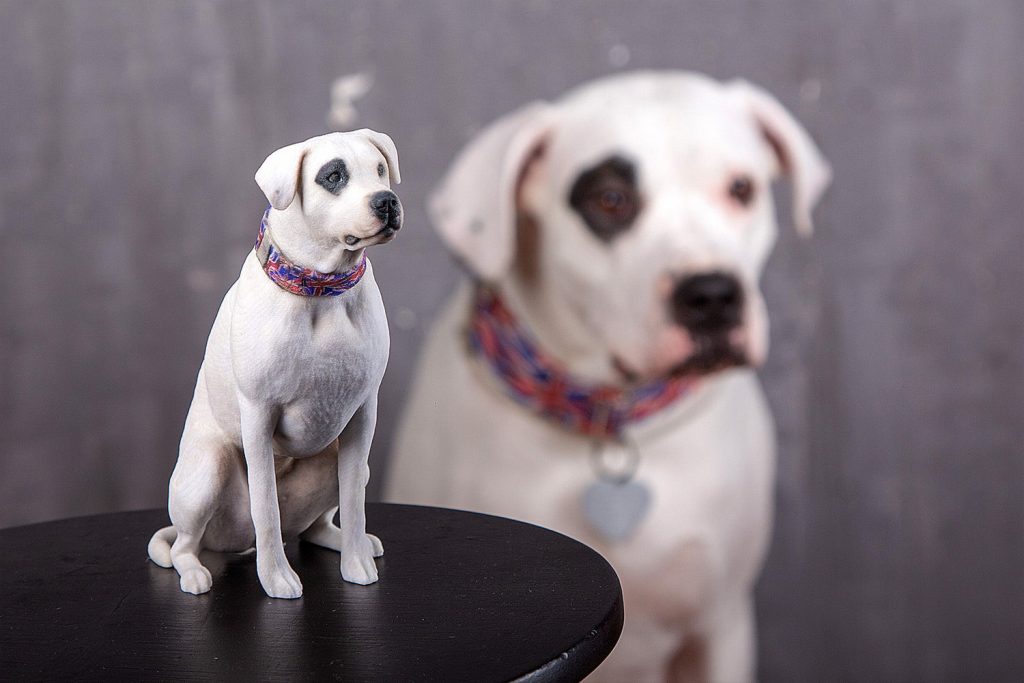 3d figuren hund 3
