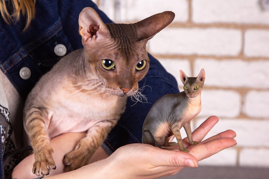 3d figuren katze