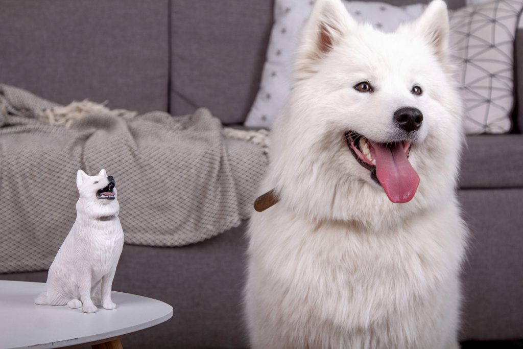 3d figuren hund 5
